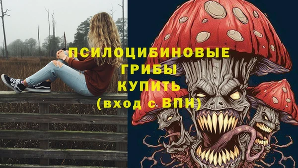 эйфоретик Абаза