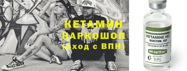 apvp Гатчина
